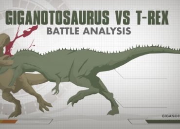 Giganotosaurus vs T rex