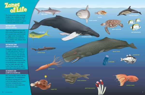 Which animal lives in ocean?