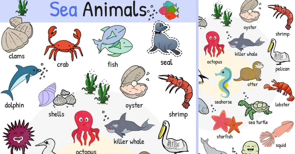 Which animal lives in ocean?